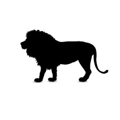 Silhouette of lion.