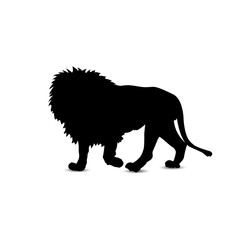 Silhouette of lion.