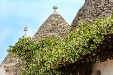 Trulli houses roofs in Alberobello, Italy