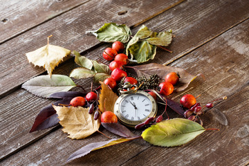 The old clock on the background of autumn leaves and berries