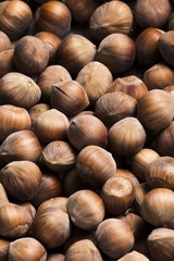hazelnuts background from above