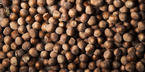 hazelnuts background from above