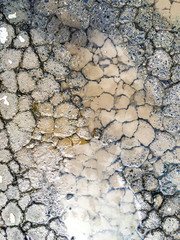 Cracked soil on dry and wet  for background texture
