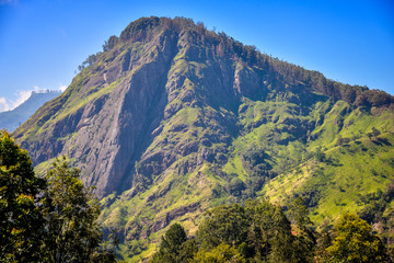 beautiful landscape with Ella Rock