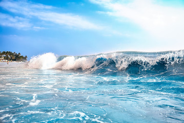 Fototapeta premium Beautiful wave in the ocean 
