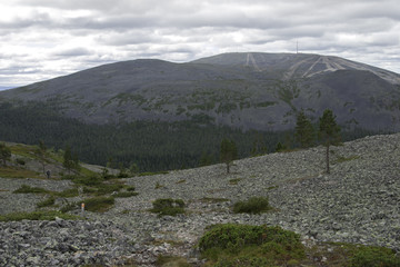 Mountain in Lapland