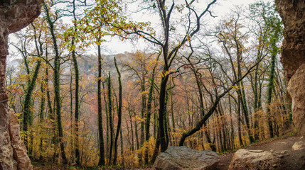 Autumn mood. All shades of rainy october. Valley of a stream of Rufabgo. View from a cave Skvoznaya. Nature and travel. Russia, Adygea, Caucasus Mountains