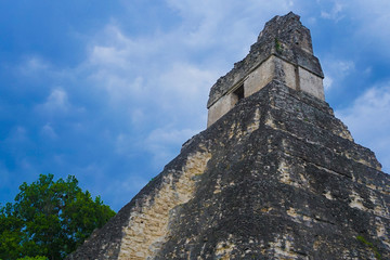 A pyramid in Tikal area with ruins from the Mayan era in Guatemala.