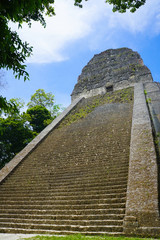 Fototapeta na wymiar A pyramid in Tikal area with ruins from the Mayan era in Guatemala.