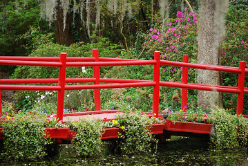The red bridge covered in flowering plants at Magnolia Plantation and Gardens in Charleston, South Carolina.
