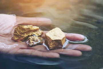 Gold in its origin as gold nuggets in the mine is in the hands of men selective focus.