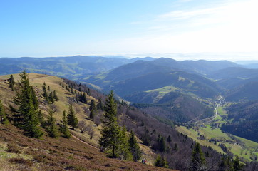 Fototapeta na wymiar Blick vom Belchen über den Schwarzwald
