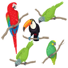 Fototapeta premium Tropical Birds Set