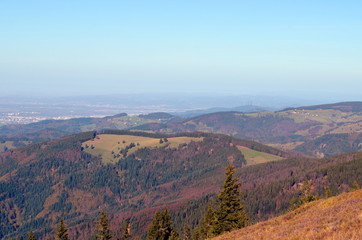 Blick vom Belchen über den Schwarzwald