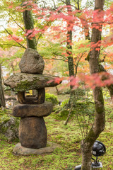 Autumn scenery of a Japanese garden