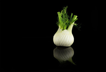 Raw Fennel in a black backgoung and on black table