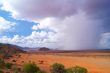 Savanna rain in Tsavo National Park Africa