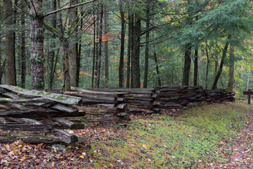 Split rail fence view from side with forest behind on a wet fall day, horizontal aspect