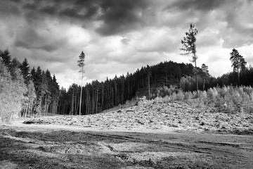 Sunny light in autumnal  Macha's landscape near Okna village in czech republic © jiriigaz