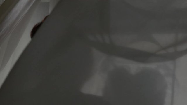 White Tulles and Wedding Dres the Wind - Slow Motion