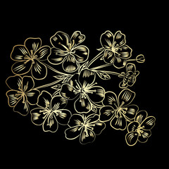 Fototapeta premium twig cherry blossoms