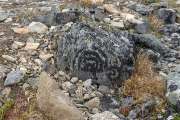Moss and lichens on stones in Jotunheimen National Park, Norway