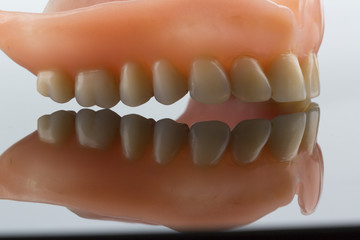 dentition with reflection