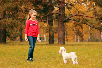 Naklejka na ściany i meble A girl is played with a dog in the park