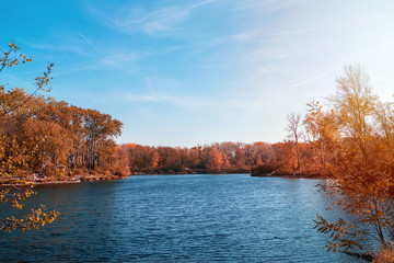 Dechantlacke in Lobau National Park in Vienna, Austria