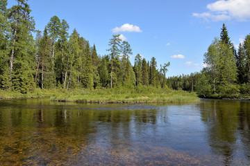 Forest river