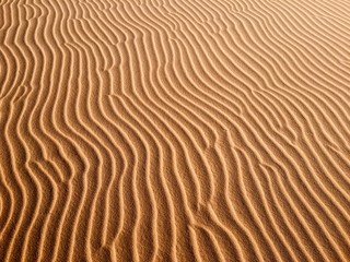 Fototapeta na wymiar dunes of the desert