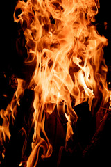 Flames of a campfire in the night