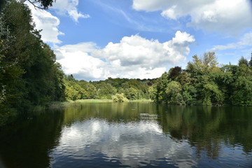 Ombre au loin sur la cime des h&ecirc;tres de la for&ecirc;t de Soignes dominant le grand &eacute;tang de Lange Gracht &agrave; Auderghem