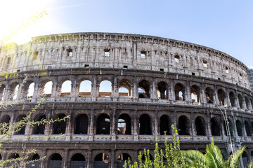 Fototapeta na wymiar The Coliseum in Rome