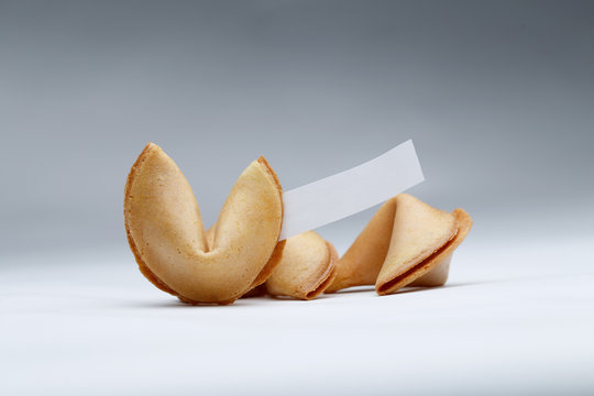 Photo of Chinese cookies with wish on empty gray background.