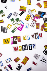 A word writing text showing concept of What Do You Want question made of different magazine newspaper letter for Business case on the white background with copy space