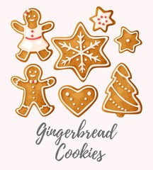 Set of gingerbread cookies