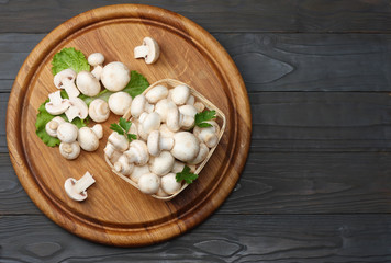 mushrooms with parsley on dark wooden background. top view