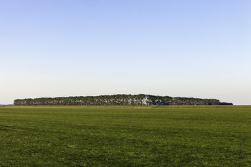 Landscape, Termunten, Netherlands