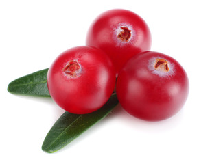 Cranberry with leaves isolated on white. With clipping path. Full depth of field.