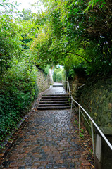 Obraz premium Stairs street in so called Treppenviertel (lit. stairs quarter) in Hamburg Blankenese, Germany