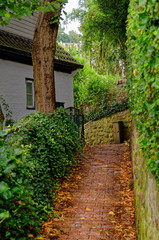 Fototapeta na wymiar Stairs to a house in so called Treppenviertel (lit. stairs quarter) in Hamburg Blankenese, Germany