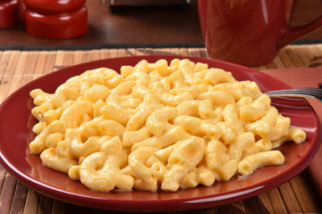 Macaroni and cheese closeup
