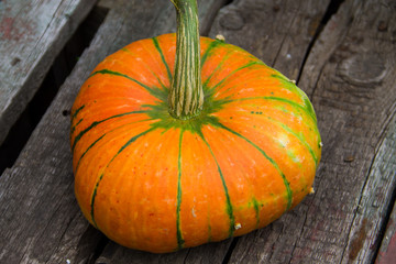 Pumpkin on rustic wooden table
