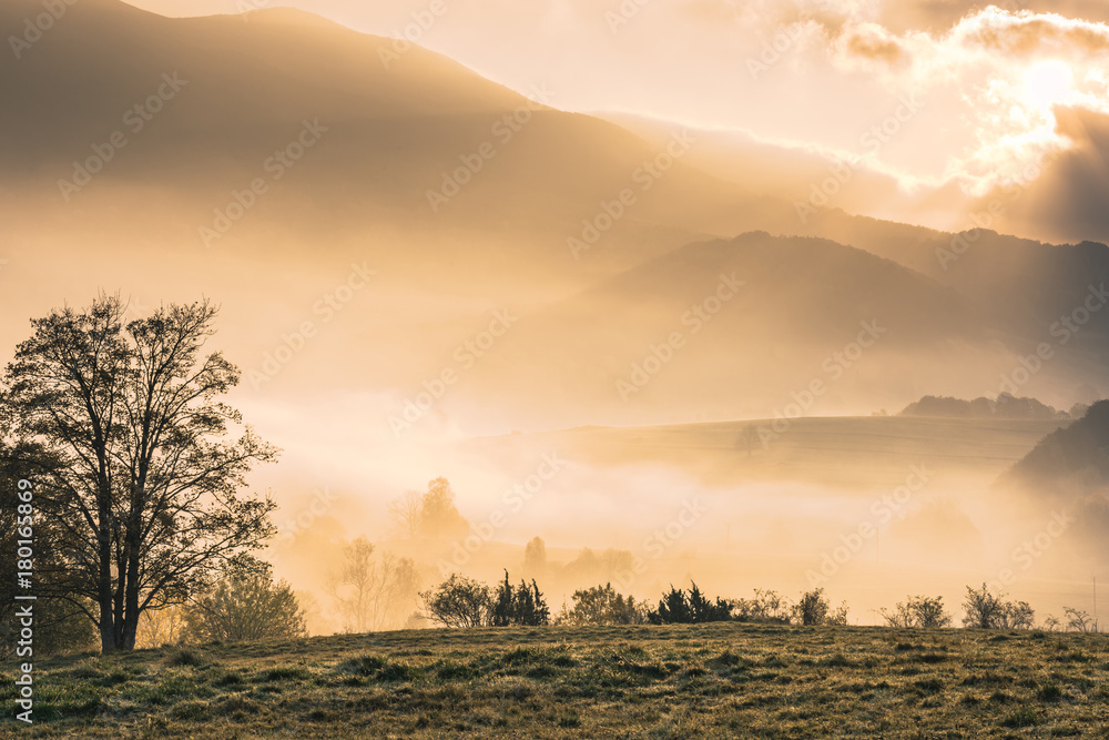 Canvas Prints Thick fogg in wilderness of Carpathian Mountains