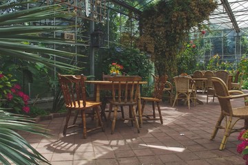 Obraz premium Green terrace near the beach