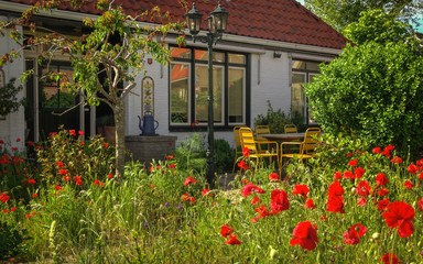 Fototapeta na wymiar colorful dutch house on a clear and bright day