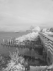 Infrared image taken with my modified camera along Astoria Oregon's river walk
