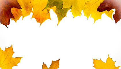 Abstract autumnal background with flying maple leaves. Fall season greeting card, poster, flyer. Vector illustration isolated on a white background.