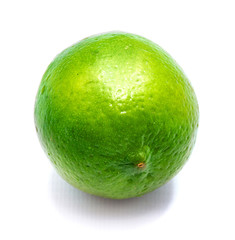 One whole green lime isolated on white background.